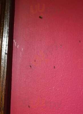 The Reginald Mitchell