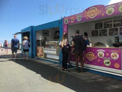 Bibbins Rolled Ice Cream