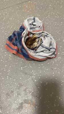 Marks & Spencer Cafe