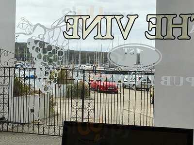 The Vine