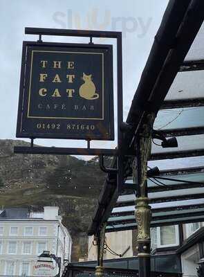 The Fat Cat Cafe Bar