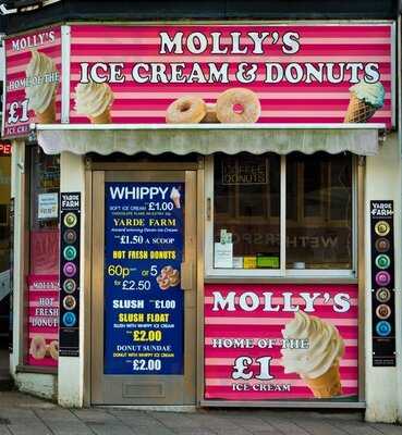 Molly's Ice Cream And Donuts