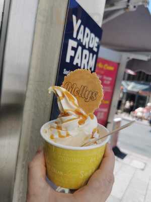 Molly's Ice Cream And Donuts