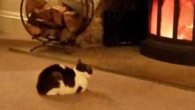 Best Western Swan Hotel