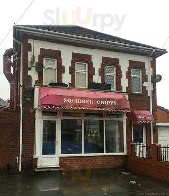 Squirrel Chippy