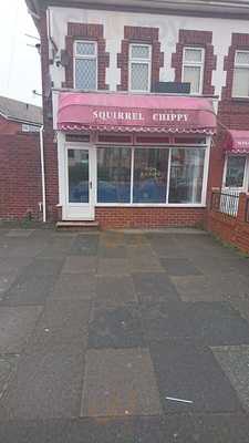 Squirrel Chippy
