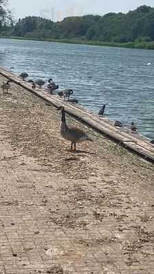 Barley + Graze Restaurant Peterborough