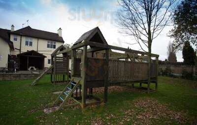 The Red White & Blue