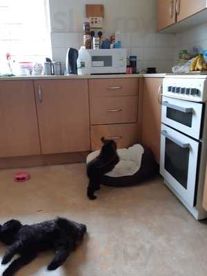 The Red White & Blue