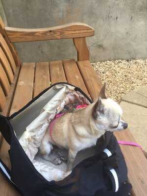 Northampton Garden Centre