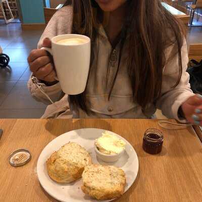 The Place To Eat At John Lewis