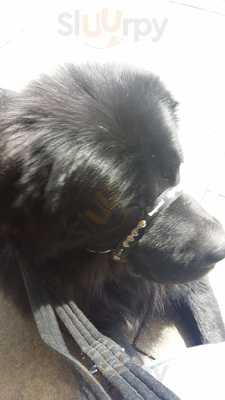 Greggs - Brackley Street