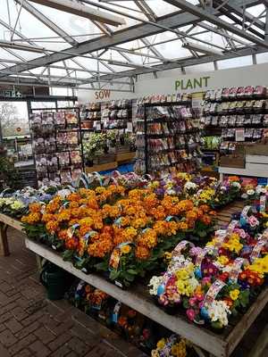Hillier Garden Centre