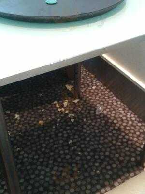 John Lewis Espresso Bar