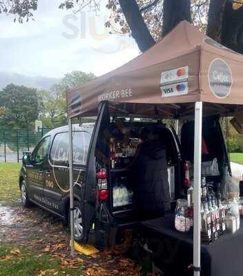 The Coffee Bean Dream