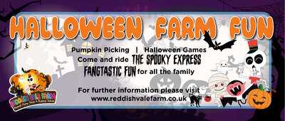 Cafe Reddish Vale Farm