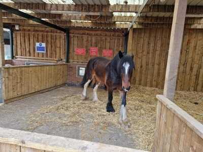 Cafe Reddish Vale Farm