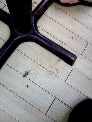 Bb's Coffee & Muffin