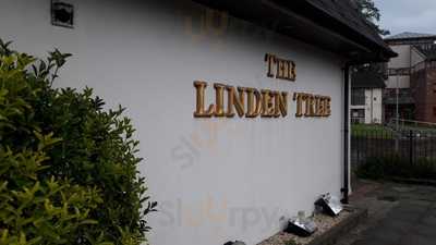 Linden Tree