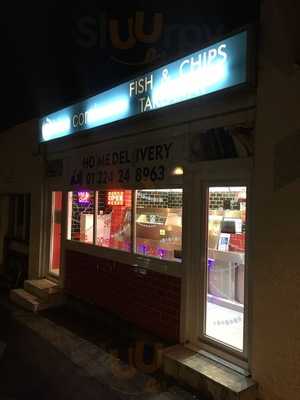 Blue Coral Fish And Chips