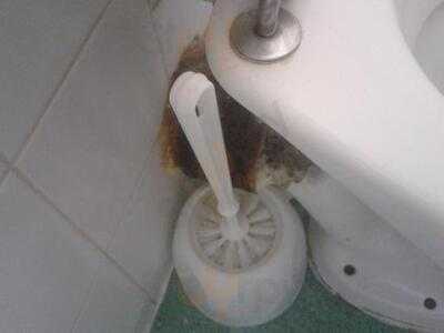 Norbreck Castle Restaurant