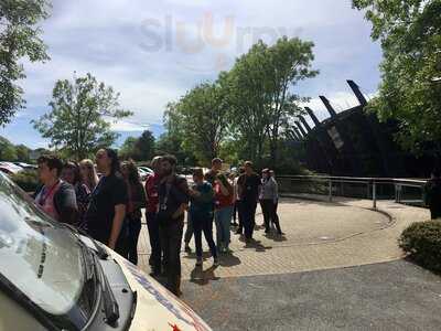 Just Chilling Ice Creams