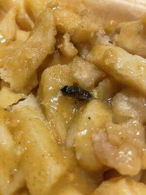 Chicken King Kebab House