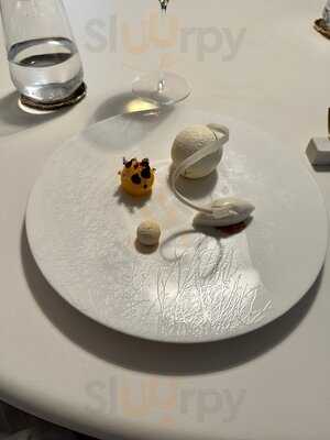 Frog By Adam Handling