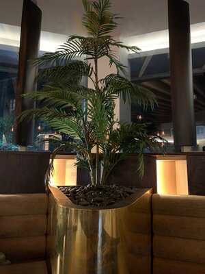 Sahara Grill Hounslow