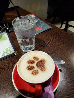 Lady Dinah's Cat Emporium