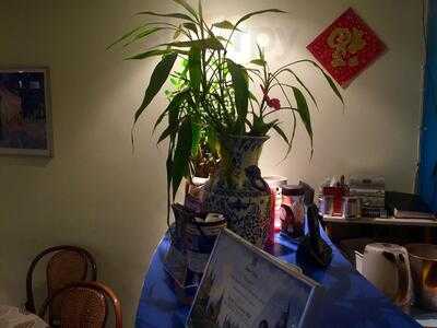 New City Chinese Restaurant