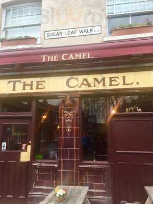 The Camel Public House
