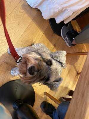 Bob's Cafe Muswell Hill