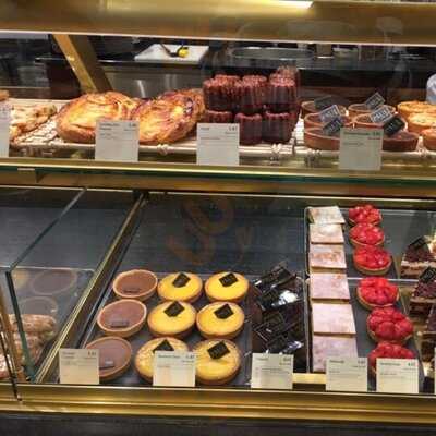 Paul Gloucester Road