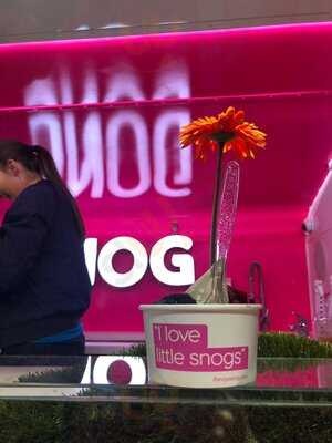 Snog Frozen Yogurt