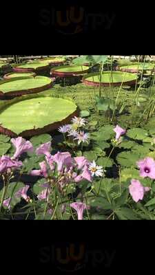 The Three Greyhounds