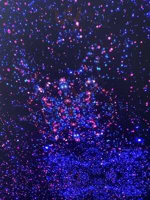 Franco Manca Tottenham Court Road