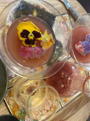 Mr. Fogg's House Of Botanicals