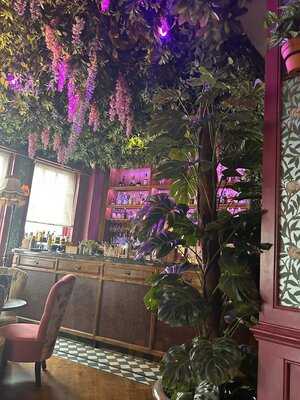 Mr. Fogg's House Of Botanicals