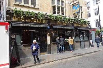 The Dog & Duck
