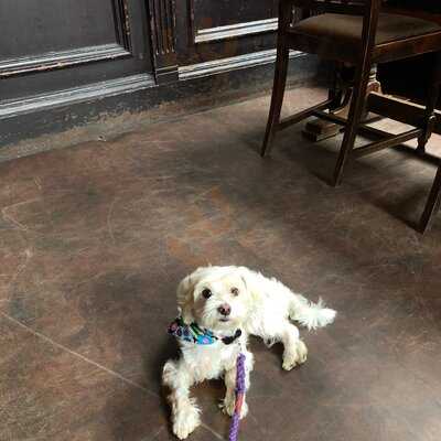 The Flask, Hampstead