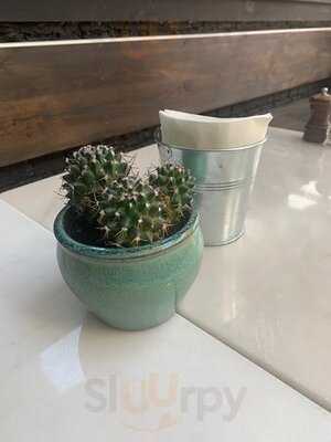 Music & Beans Camden