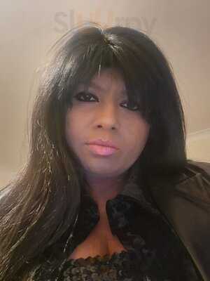 Tigerbay Shisha Lounge