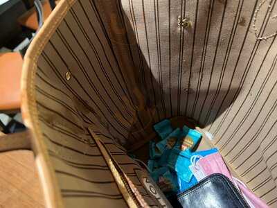 The Seashell Of Lisson Grove