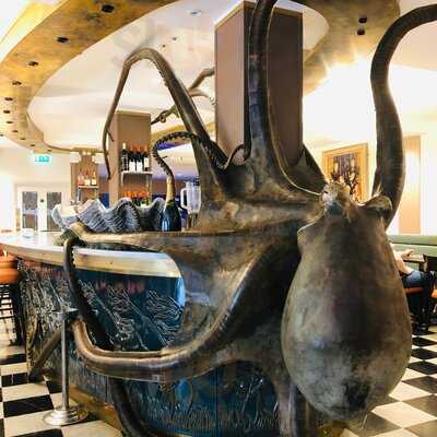 The Seashell Of Lisson Grove