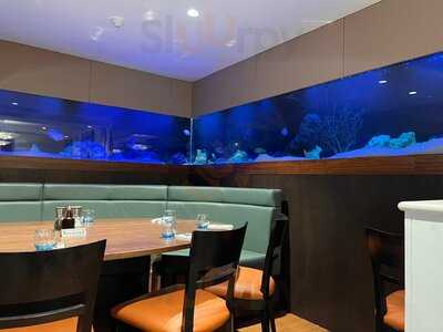 The Seashell Of Lisson Grove