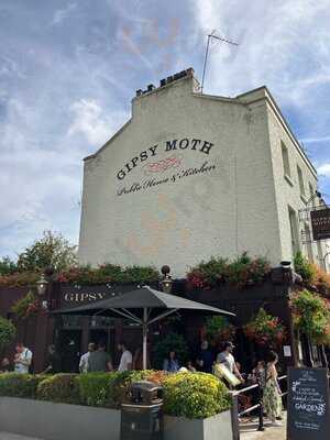 The Gipsy Moth