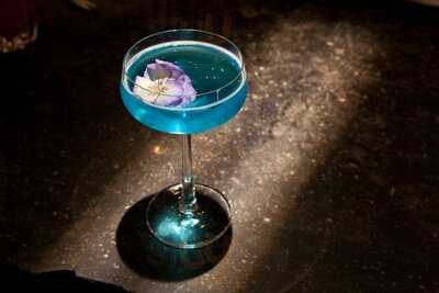 Purple Bar At Sanderson