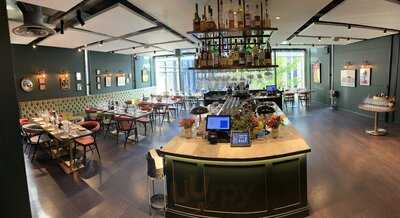 Manicomio - Gutter Lane