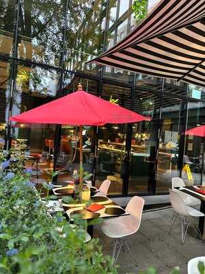 Manicomio - Gutter Lane